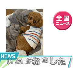 Nanakong_20250211153334