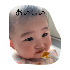 ka_20250211115619