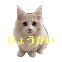 ayaka_20250211115458