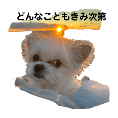 kyoko_20250211125049