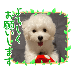 ponzu_20250211165738