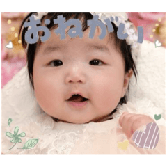 sei_20250211133504