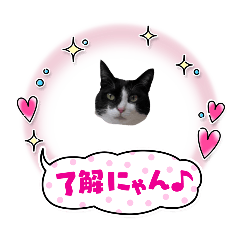 kotetsu_20250211134606