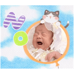 momo_20250211135409