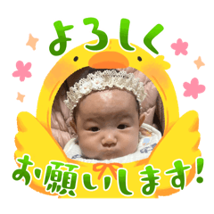 Pu_20250211191555
