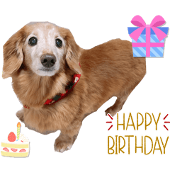 Happy_20250211192135
