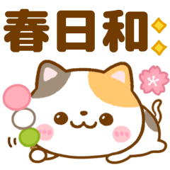 nekoneko nyanko spring