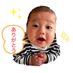 SEI_20250211210108