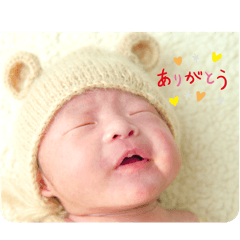 mei_20250211183800