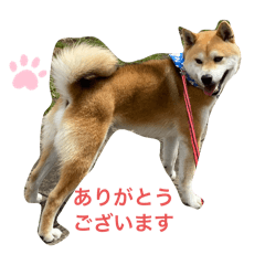 nao_20250211213850