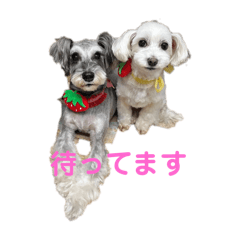 Namihei_20250211225901