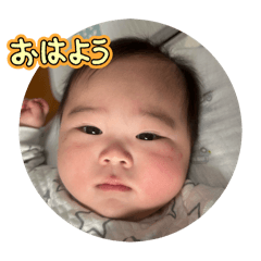 riku_20250211201729