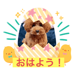 tetsu_20250211201457