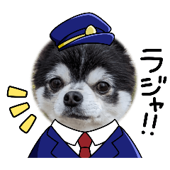 HARUTA_20250212000301