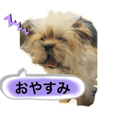 hana_20250211231313