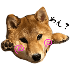 omochi_20250211232816