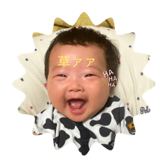 aoi_20250211233331