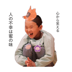no_20250211234408