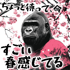 gorillas that make you feel spring