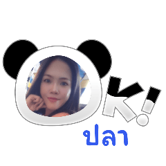 pla_20250212102003