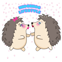 Hedgehog Love Lifestyle
