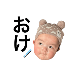 Bear_20250212002613