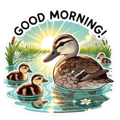 Realistic & Cute Duck Family Stickers