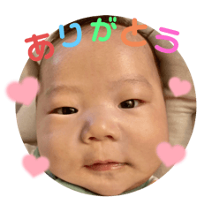 Miki_20250212101608