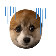 tm_20250212113833