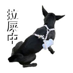 妹妹的人生