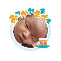 RIKO_20250212122409