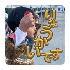 HIKARI_20250212115323