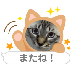 Ryu_20250212134730
