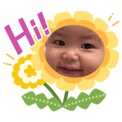 ann_20250212140704