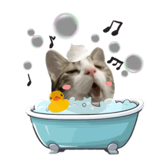 被AI惡搞的太狼