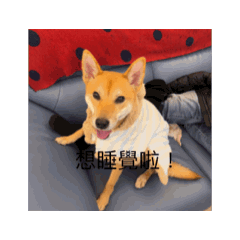 孟澄栩