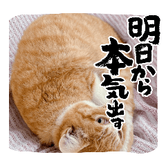 john_20250212165408