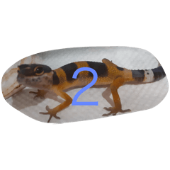 Hyo-mon_20250212170049