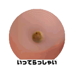 APPLE_20250212171644