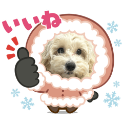uka_20250212170507