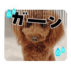 RENA_20250212211336