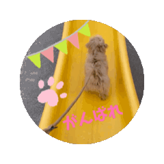 COCO_20250212193406