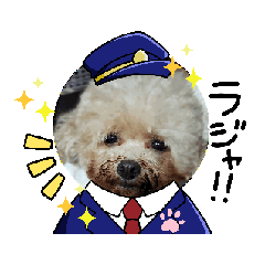 MIYUKI_20250212235855