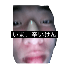 damo_2025021123394