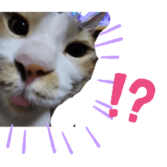 hapimaru