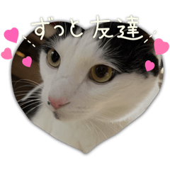 YOKO_20250212135354