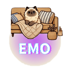 布偶貓毛毛（日常反應篇）