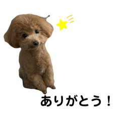 chan_20250212154547