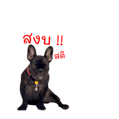 TOOkta_20250212200739