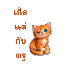 parinya.b_20250212205935